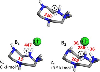 A Cl− Hinge for Cyclen Macrocycles: Ionic Interactions and Tweezer–Like Complexes